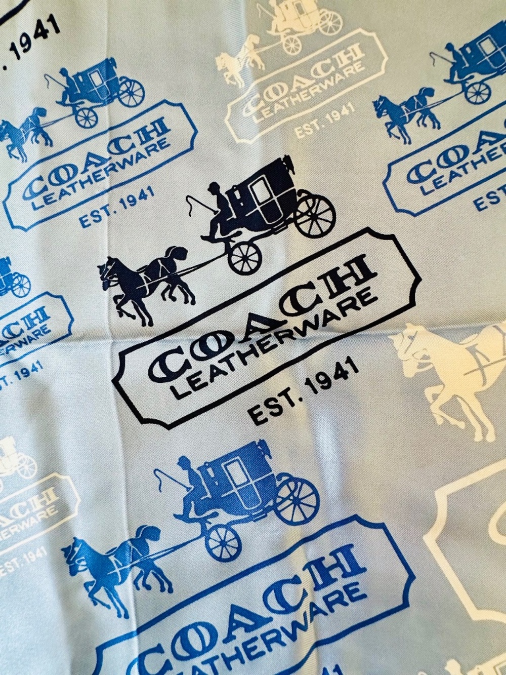 Coach Heritage Horse Carriage Scarf Blue/Navy